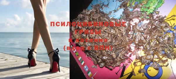 молекула духа Алексеевка
