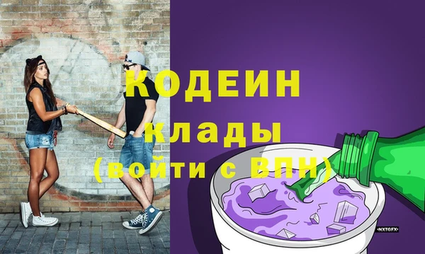 дурь Алексин