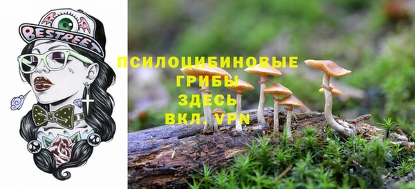дурь Алексин